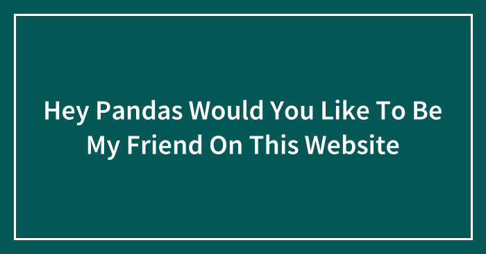 Hey Pandas Would You Like To Be My Friend On This Website
