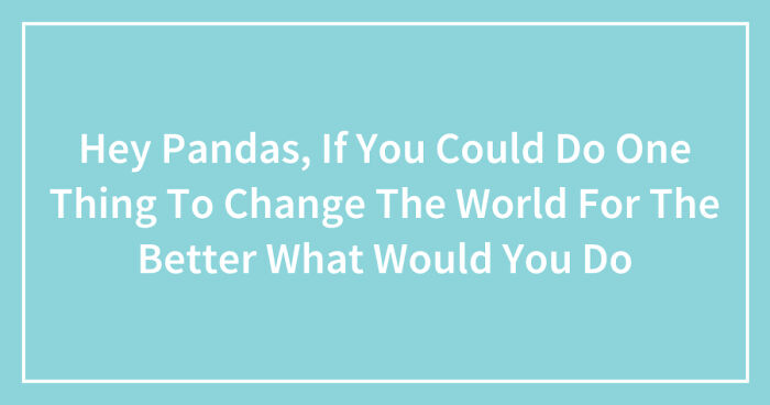 Hey Pandas, If You Could Do One Thing To Change The World For The Better What Would You Do (Closed)