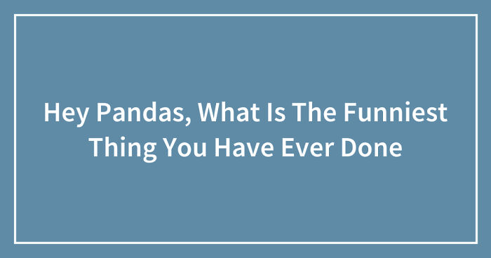 Hey Pandas, What Is The Funniest Thing You Have Ever Done (Closed)