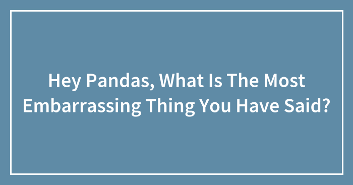 Hey Pandas, What Is The Most Embarrassing Thing You Have Said? (Closed)