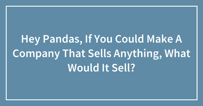 Hey Pandas, If You Could Make A Company That Sells Anything, What Would It Sell?