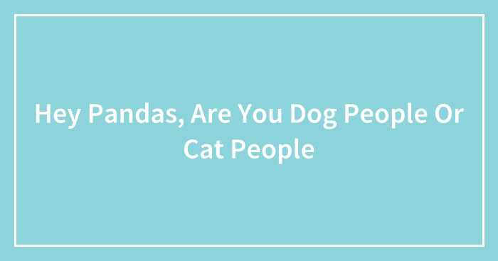 Hey Pandas, Are You Dog People Or Cat People