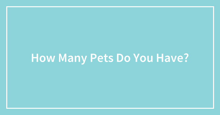 How Many Pets Do You Have?
