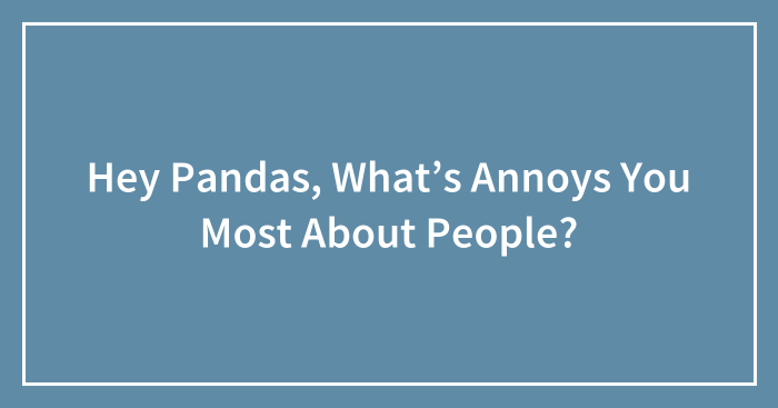 Hey Pandas, What’s Annoys You Most About People?
