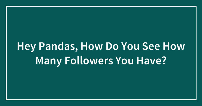 Hey Pandas, How Do You See How Many Followers You Have?