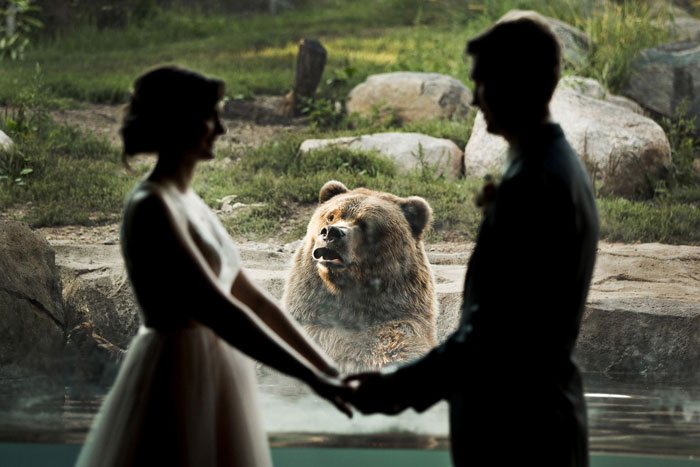 Nos casamos en el zoo, y este oso tuvo una interesante reacción a primera vista