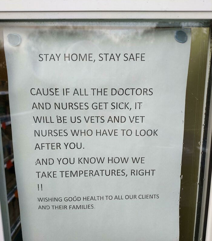 At The Local Vet's