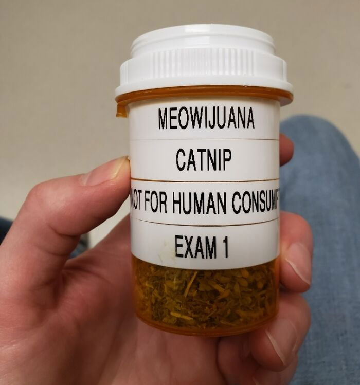 How My Local Vet Labels Their Catnip