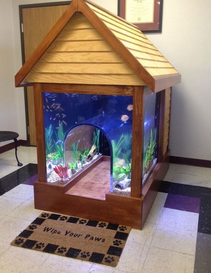 Went To My Local Vet Clinic To Drop Off My Dog For Surgery And Was Surprised To See This Awesome Fish Tank/Dog House