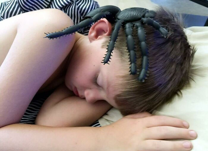 Chloe Tried To Scare Her Brother This Morning By Putting A Huge Plastic Spider On His Head So He's Freak Out When He Woke Up