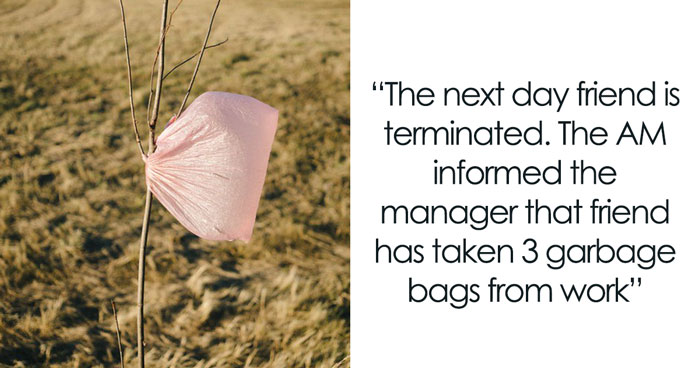 Guy Tells Story Of Friend Taking 3 Trash Bags From Work And Getting Fired, Now People Are Sharing Similar Stories