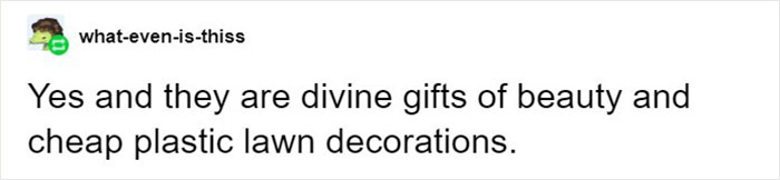 "You People Are Insane": People Online Are Surprised By Halloween Stores In The US That Are Only There For This Specific Period Of Time "You People Are Insane": People Online Are Surprised By Halloween Stores In The US That Are Only There For This Specific Period Of Time