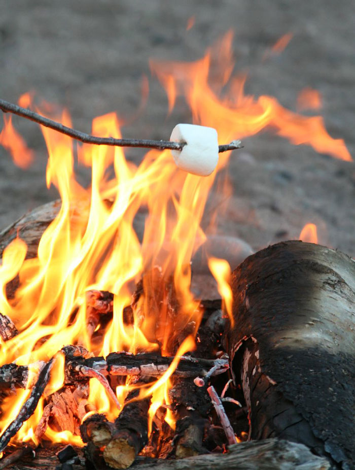 Campfires & Marshmallows