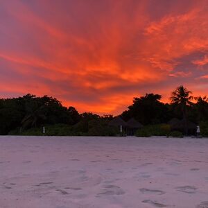 alexeybarinov avatar