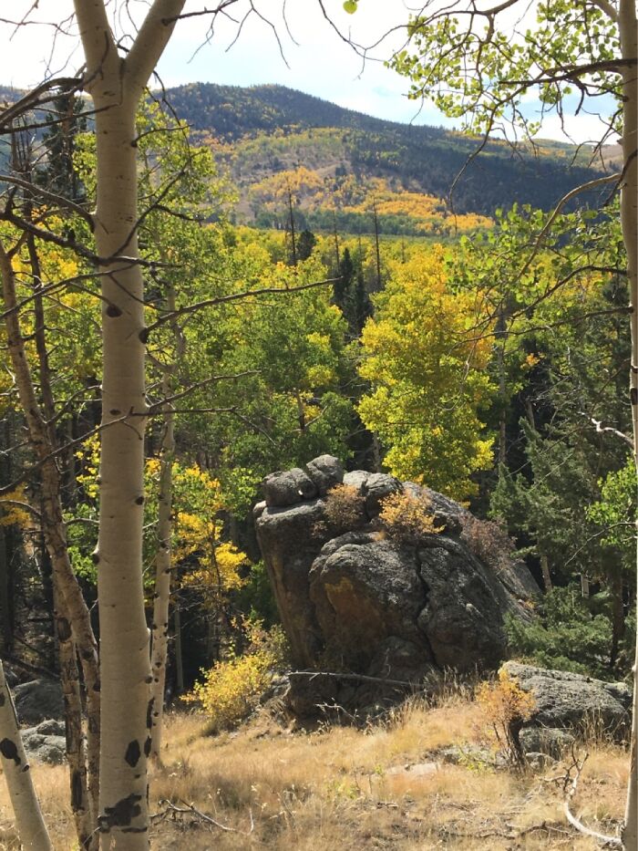 Autumn In Colorado