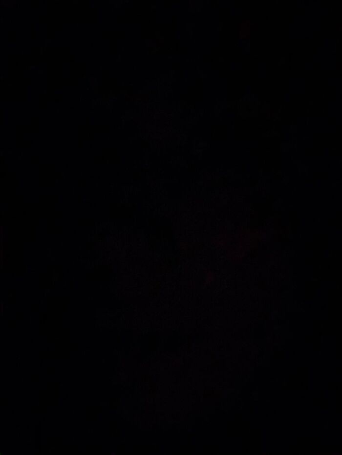 Hey Pandas! What Is A Favorite Funny Celebrity Quote Of Yours?