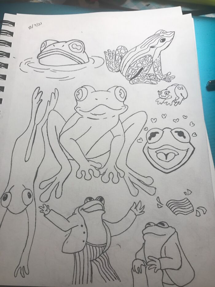Some Frogs (And Toads) From Last Night!
