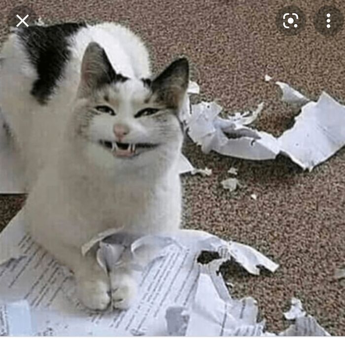 A R E Y O U S U R E Y O U H A D C O F F E E T O D A Y ?