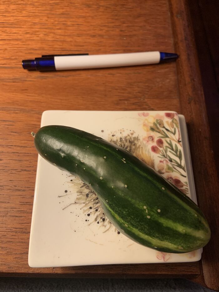 Tiny Odd Shaped Cucumber On A Coaster With Its Pen Friend Above.