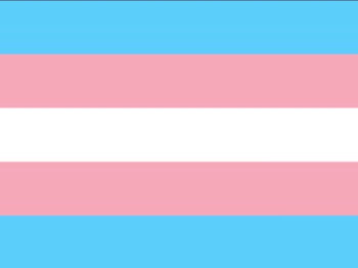 Australian (Nsw) Bill Inhibiting Trans Student Rights Australian (Nsw) Bill Inhibiting Trans Student Rights