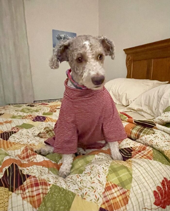 Winnie’s Haircut Was A Bit Extreme. She Needs Her Jammies At Bedtime Now.