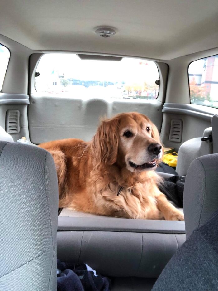 Took Julian To The Store And He Was All Smiles When I Came Back With A Brand New Ball For Him.