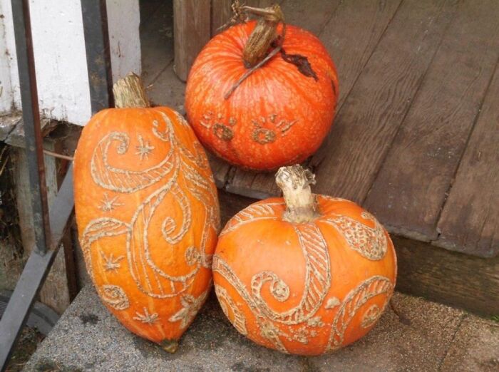 Designs Etched On Maturing Pumpkins In The Field With A Stick!