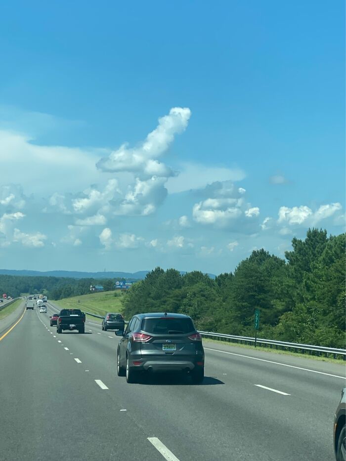 Road Tripping Through The South..