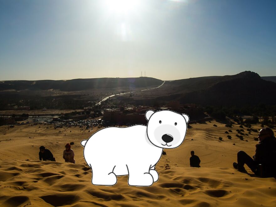 I Edited Animals In Places They Don't Belong In