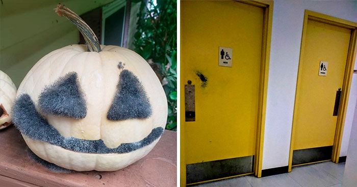 40 Cosas desgastadas por el tiempo que cuentan historias interesantes (nuevas fotos)