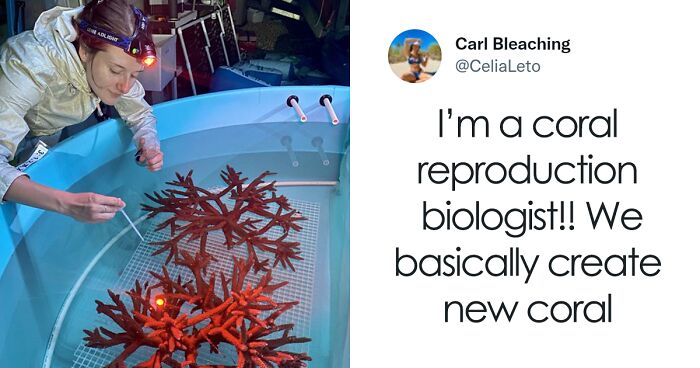 People Who Actually Like Their Jobs Are Sharing What They Do (35 Tweets)