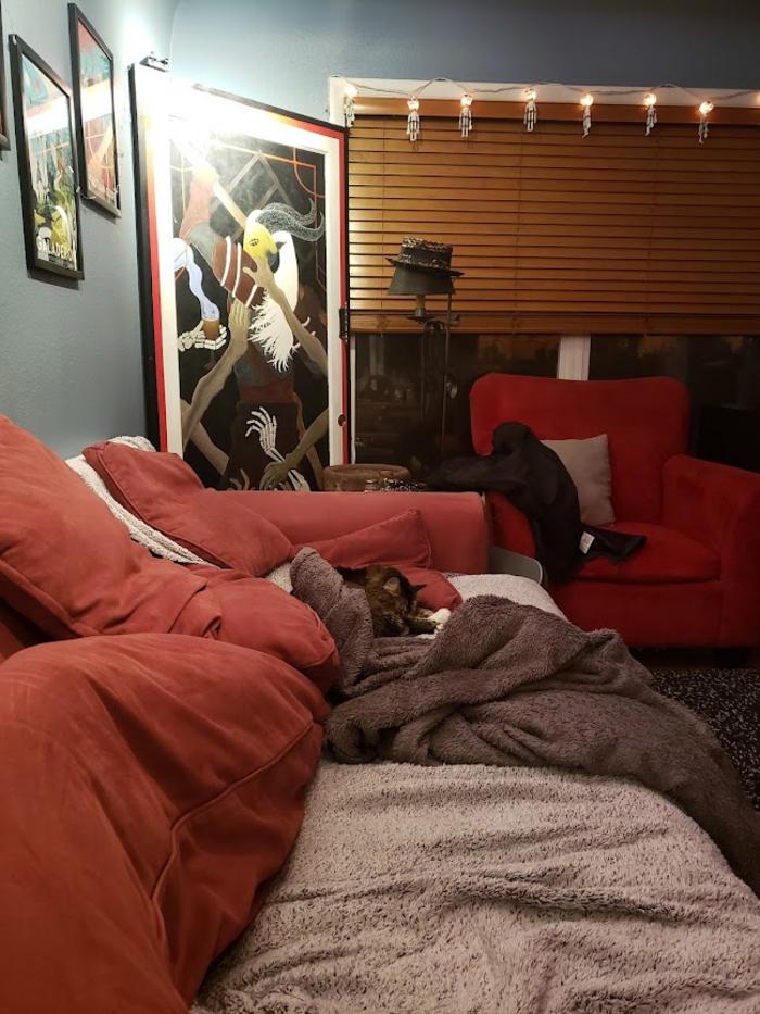 Sleeping Cat, Couch, And A Friends Artwork
