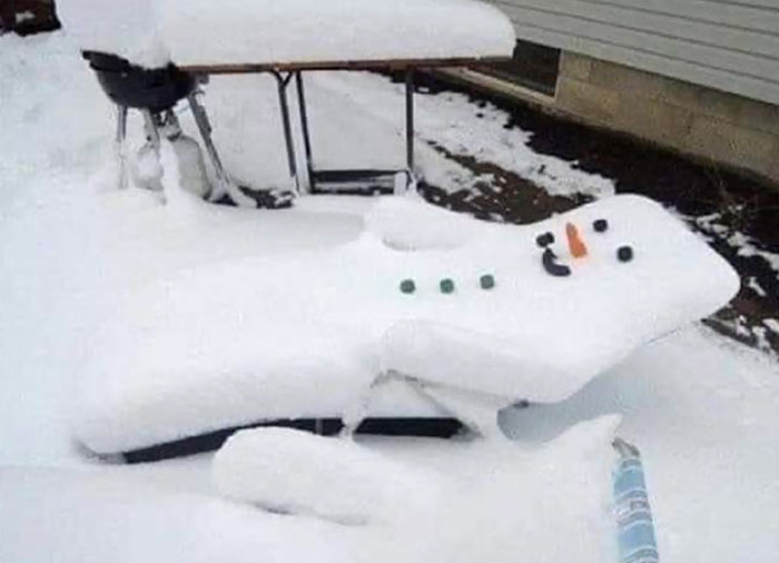 Cuando eres demasiado vago para construir un muñeco de nieve