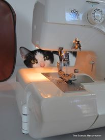 lily-sewing-615e2360e27a9.jpg