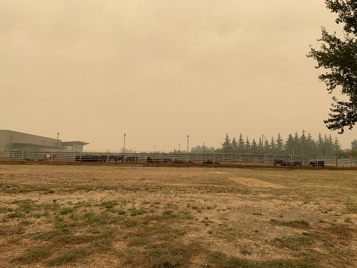 High Noon, 30 Miles Away From An Oregon Forest Fire Last Year. Orange Skies For Days