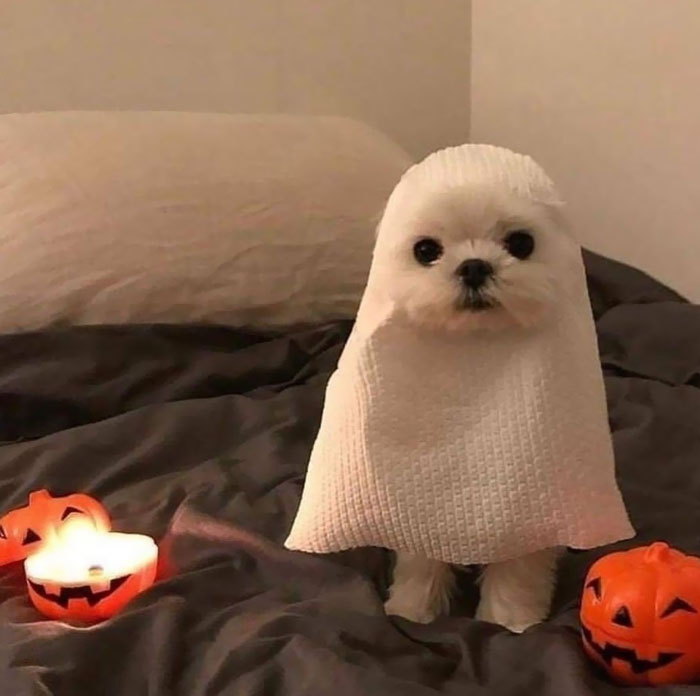 Halloween Costume This Year