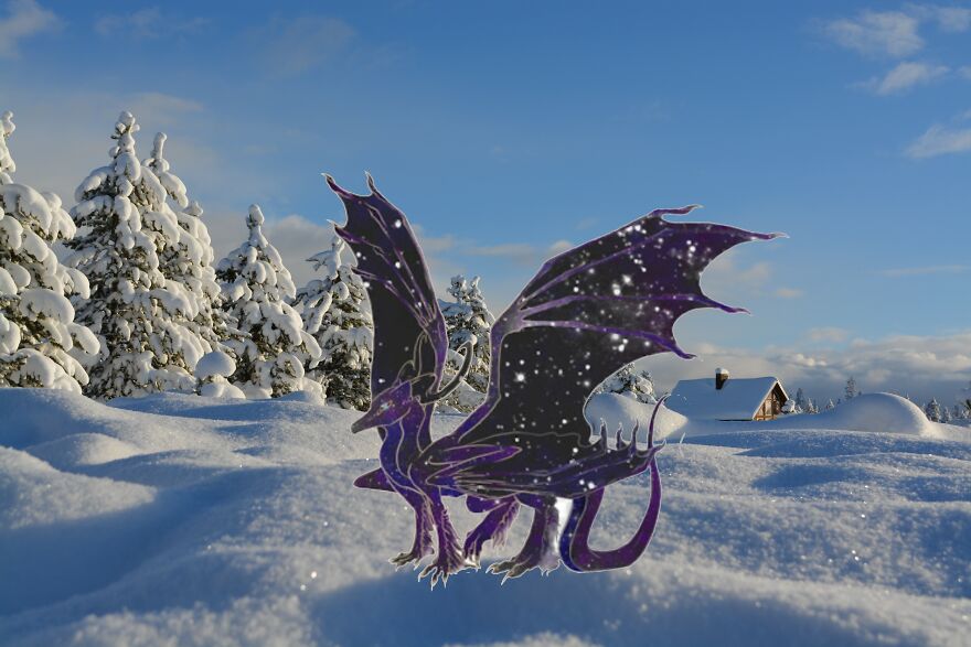 I Edited Animals In Places They Don't Belong In