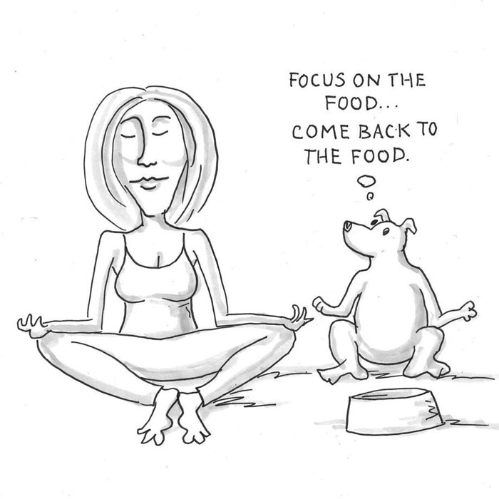 This Artist Makes Comics About Silly Situations (70 Pics)