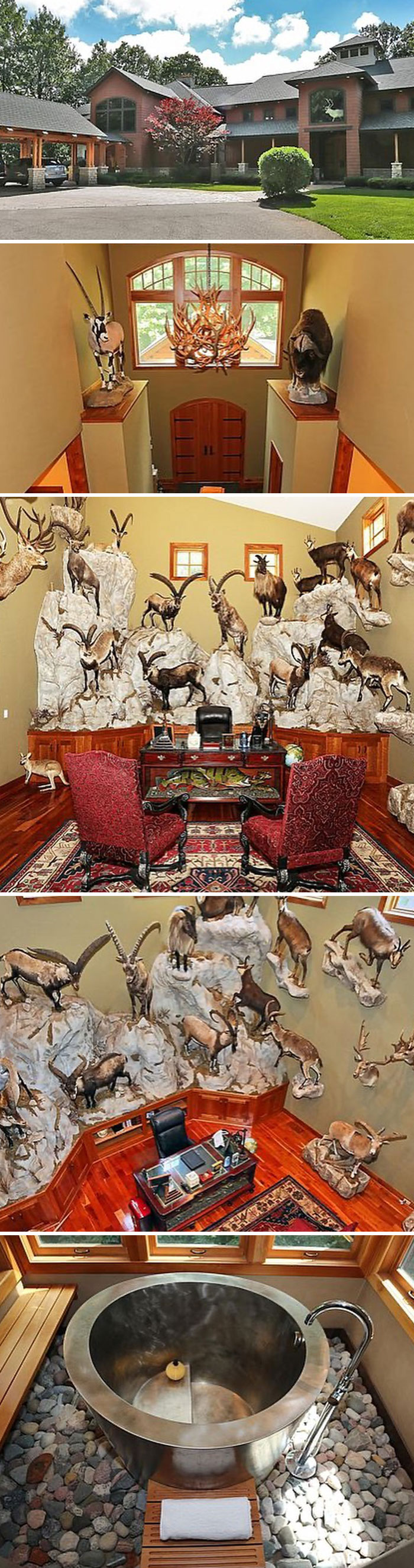Welcome To Cabellas. I Can’t Tell If This Is All Real? Warning: Lots Of (Maybe?) Taxidermy. $1,899,000