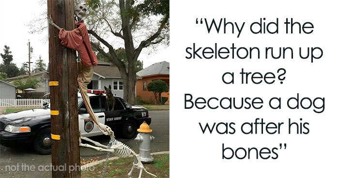 85 Of The Spookiest Skeleton Puns