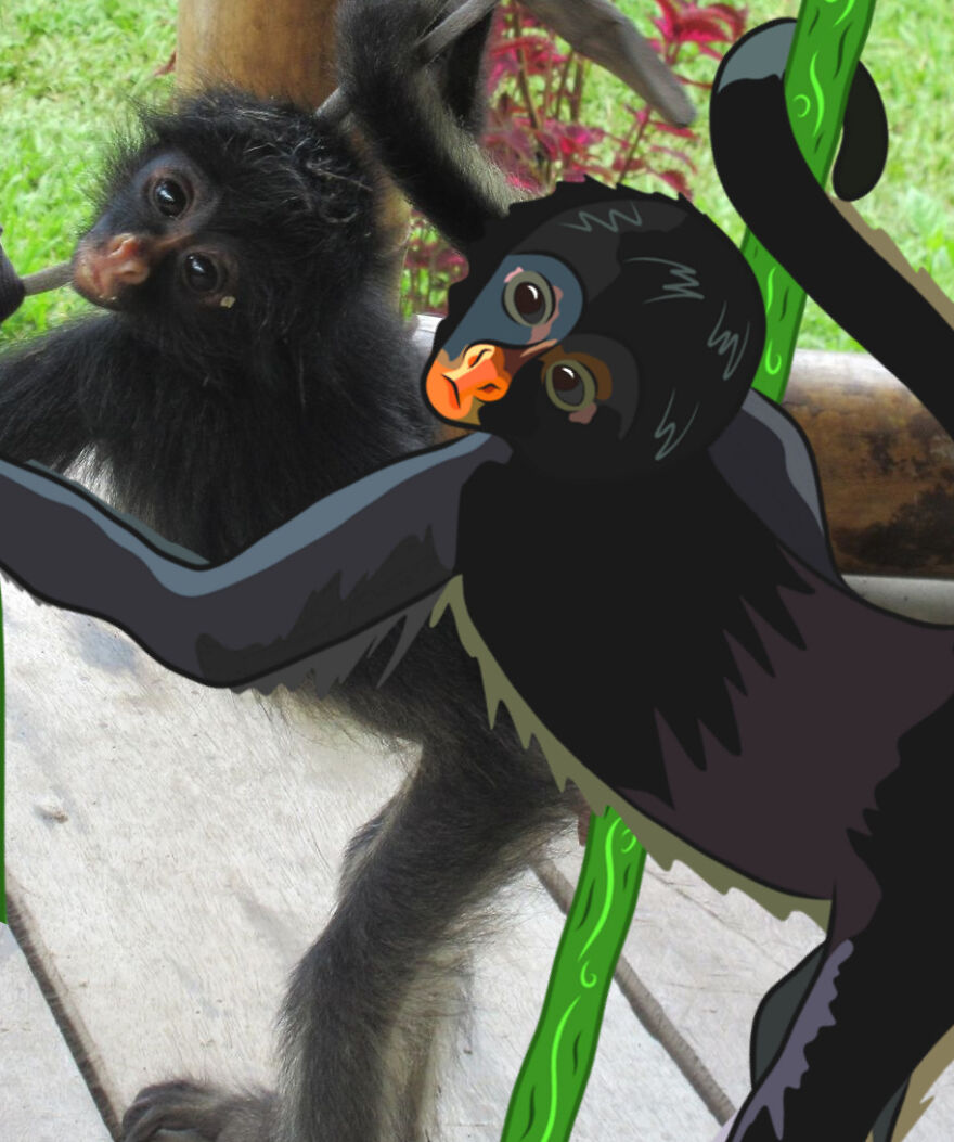 We Spent 2 Months In The Amazon And Made A Board Game About It! We Spent 2 Months In The Amazon And Made A Board Game About It!