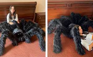 Housewarming Gift Idea: A Giant Spider Pillow From This Online Shop
