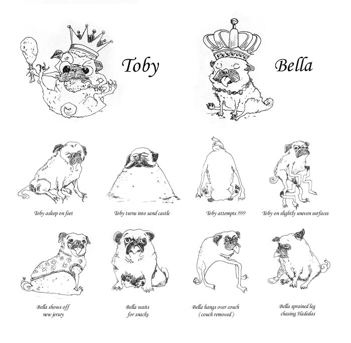 Various Drawings Of Toby & Bella The Pugs