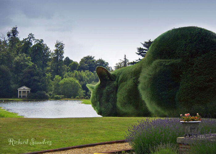 This 75-Year-Old Artist Creates Edits Of Bushes In Honor Of His Deceased Cat