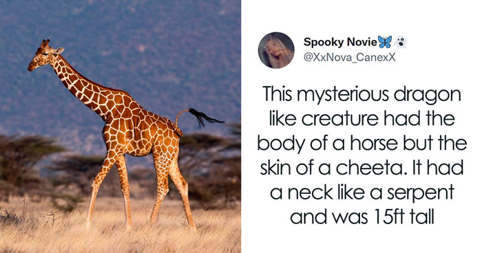 26 Myths That Might Have Originated Because People With Poor Eyesight Had No Access To Glasses, As Shared On Twitter