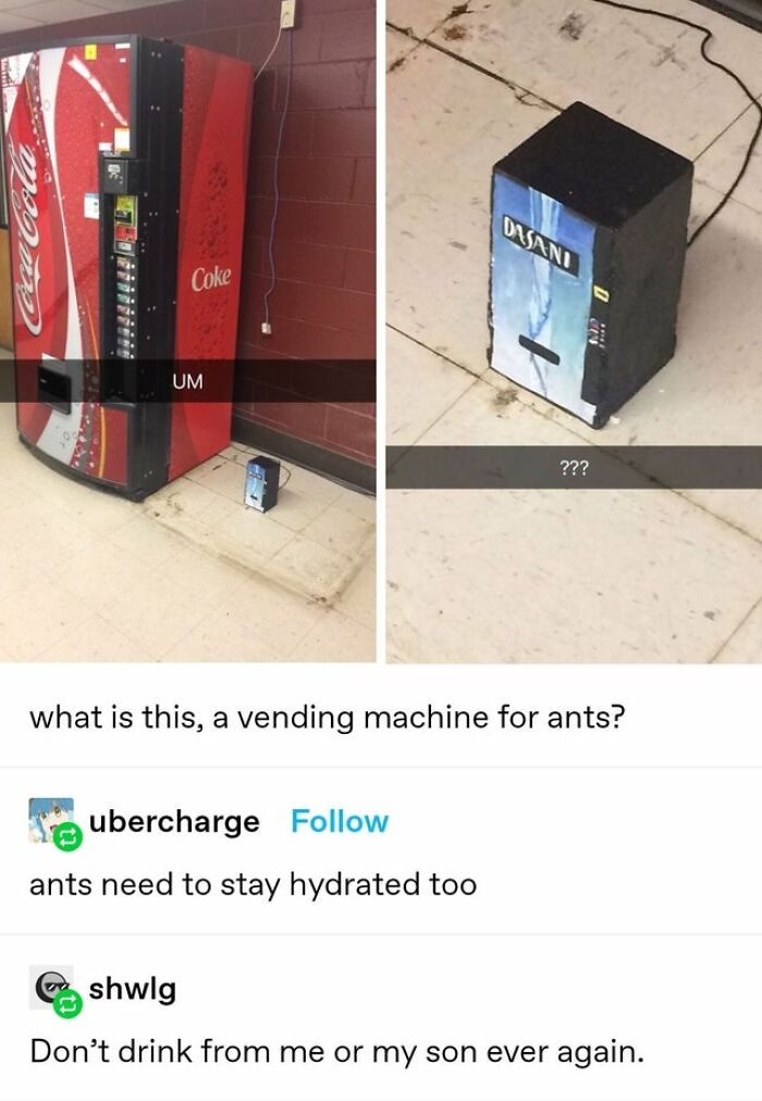 Hydrated Ants