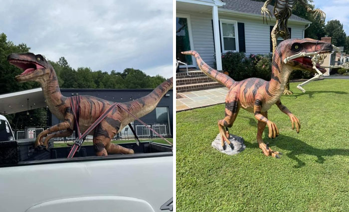 Found A Life Size (5ft Tall) Resin Velociraptor On Marketplace In Richmond Va. Couldn’t Pass It Up For $300. He’s In Our Halloween Display Right Now Which Is Not Completely Done