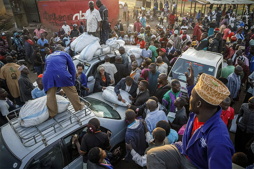 Highly Commended. Photojournalist Story Award: 'The Market For Nsenene' By Jasper Doest