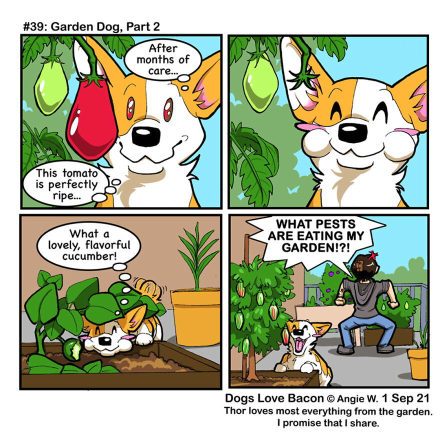 #39: Garden Dog, Part 2