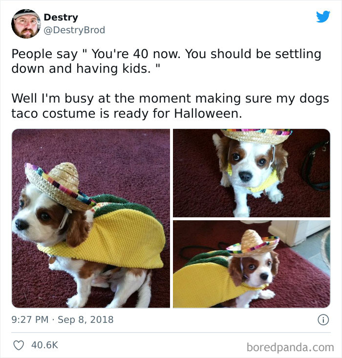 I Have Never Related To A Tweet More. Here’s To A Child Free Halloween!